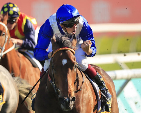 Regan Bayliss punches the air as Libertini races away from Classique Legend in the Premiere Stakes.