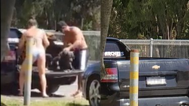 The RSPCA is investigating the treatment of a dog in Currumbin, on the Gold Coast.