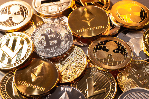 There are more varieties of digital coins than any investor could care to count.