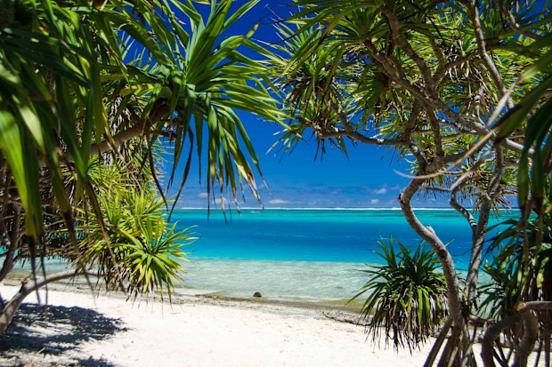 Vanuatu is a popular cruise stop in the South Pacific.