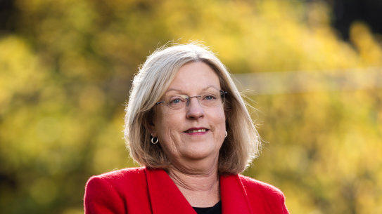 Police Minister Lisa Neville will retire at the November state election. 