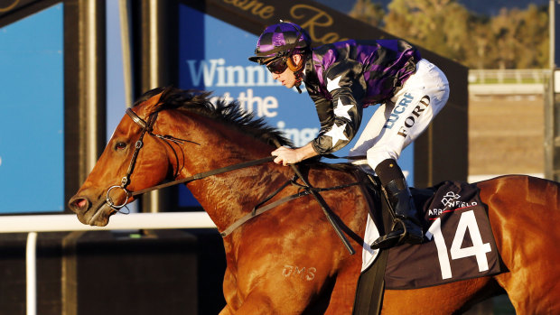 Racing heads to Scone on Thursday with an eight-race card.