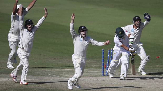On the up: New Zealand celebrates the dismissal of Pakistan's Mohammad Abbas.
