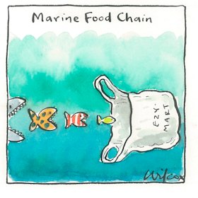 Illustration: Cathy Wilcox
