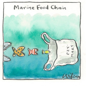 Illustration: Cathy Wilcox