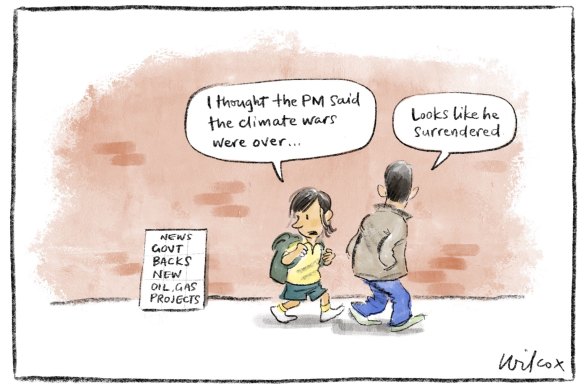 Illustration: Cathy Wilcox