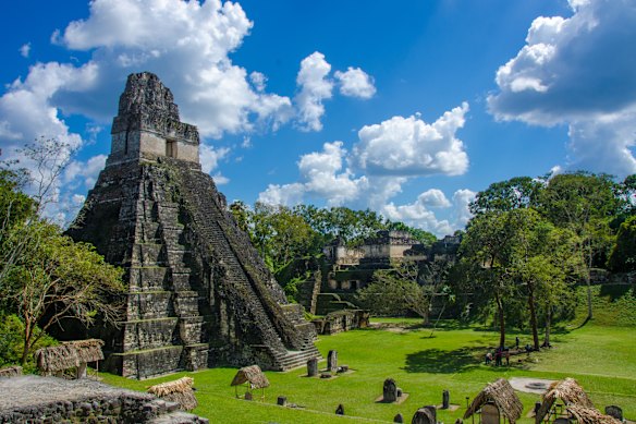 The Maya Biosphere Reserve is home to the ancient ruins of Tikal.