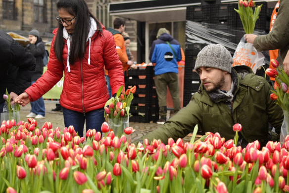 Orange tulips, the nation's national flower, will feature in the rebranded tourism campaign.