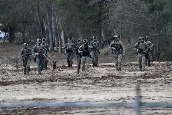 Members of the police Special Operations Group search for  Freeman in a plantation at Porepunkah on September 1.