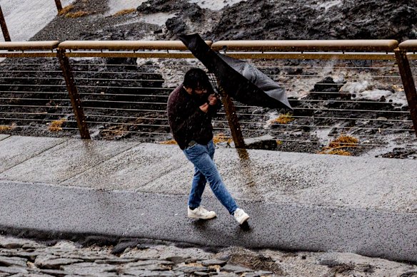 Gale-force winds have lashed the coast with some gusts hitting 110km/h.