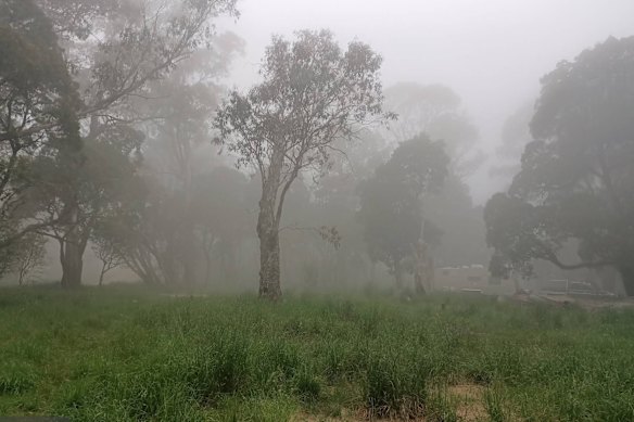 El campamento Little Styx River en el norte de Nueva Gales del Sur.