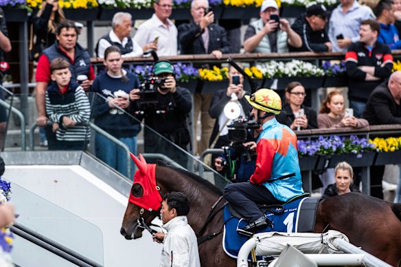 Racing fans were eager to get a look at Ka Ying Rising at Randwick on Tuesday.