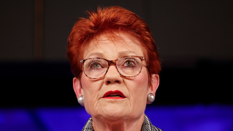 Hanson moves to wedge Coalition on national security with ISIS ban