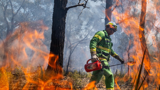 A planned burn near Bendigo to reduce fire risk.