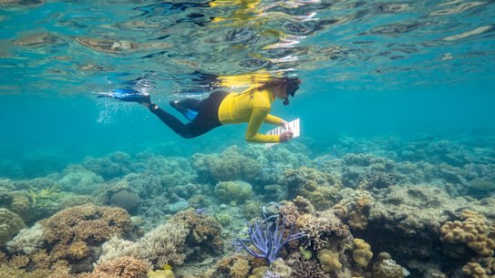 Science on the Barrier Reef with Coral Expeditions.