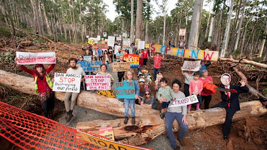 Local residents say salvage logging operations in Wombat State Forest are removing too much of the surrounding bushland. 