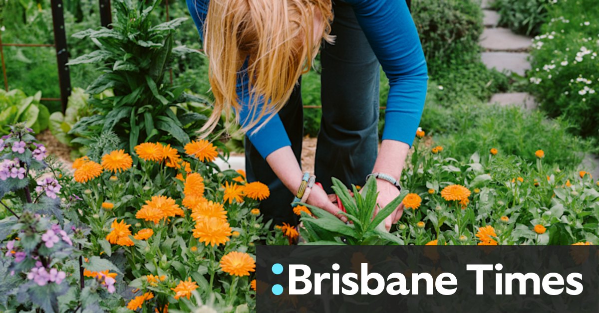 The big secret for starting a garden? You're going to kill plants - Vimarsana News