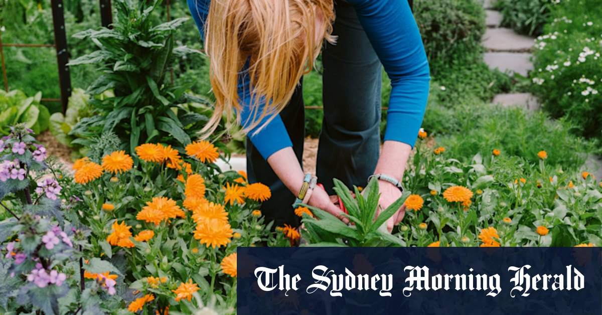 The big secret for starting a garden? You're going to kill plants - Vimarsana News