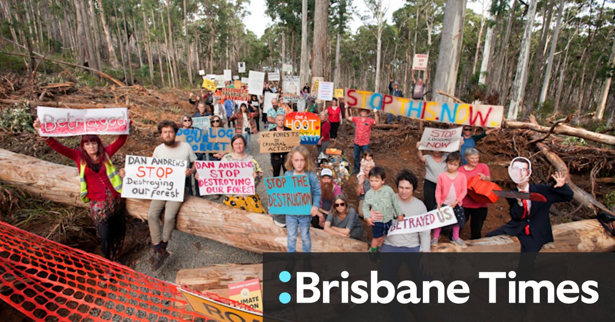 Wombat Forest salvage plan in earmarked national park worries locals - Vimarsana News