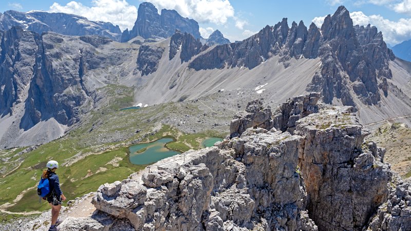 To explore this spectacular elevated world, it helps to have a ladder