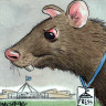 Letting the rats in the ranks of the Fourth Estate