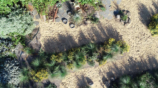 A country garden that can withstand lengthy dry spells and regenerate after fire