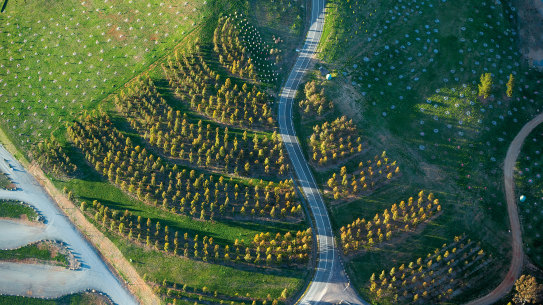 An aerial view of the National Arboretum Canberra