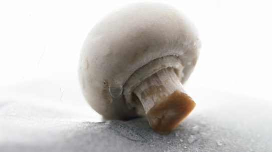 Genetically modified plants escape regulation under new proposals