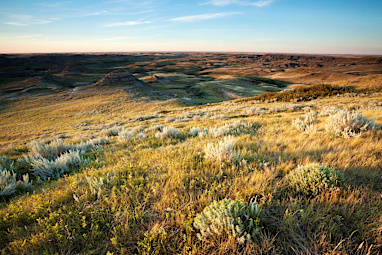 Beautiful Grasslands National Park, Saskatchewan Canada.