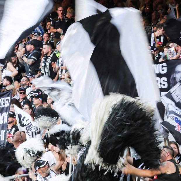 The Collingwood cheer squad at home in the Ponsford Stand.