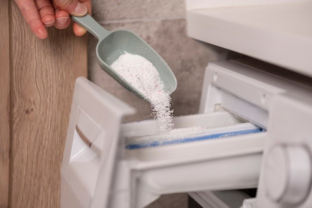 Pouring laundry detergent powder into detergent drawer of washing machine