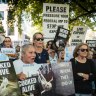 'Beyond belief': Live export corruption inquiry ends in dead end