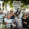 The death of 2,400 sheep on a live export ship in 2018 sparked protests.