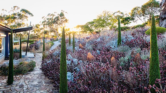 Kurt Wilkinson has created enchanting but robust effects in his Adelaide Hills garden 