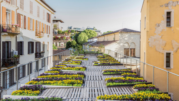 Food growing on a Milan rooftop in a garden designed by the architecture and design studio, Piuarch, from <i>The Gardens of Eden</i>.