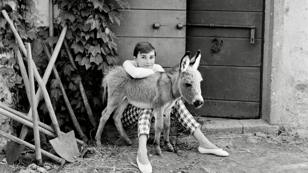 Audrey adopted Bimbaw while she was filming War and Peace in Italy.