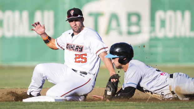 Nice play by Cavalry second-base Craig Massey to tag Sydney's Jacob Younis. out. 