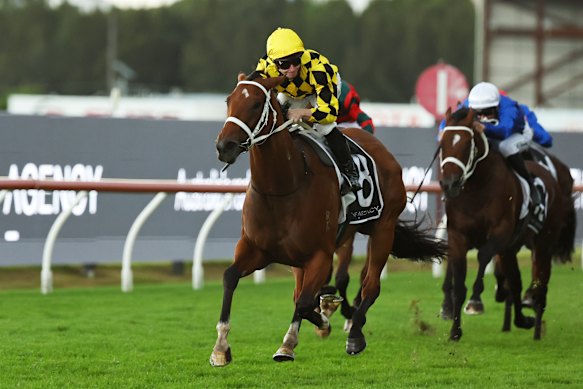 Autumn Glow cruises to victory in the George Ryder Stakes.