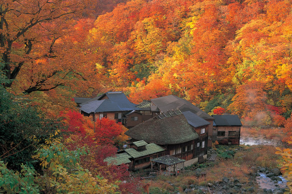 Mount Akita: This countryside onsen town is particularly beautiful in autumn.