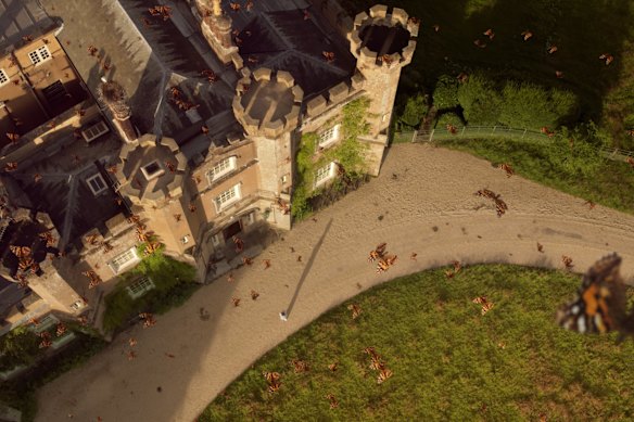 Wilding sees a couple allow their land to be taken over by nature.