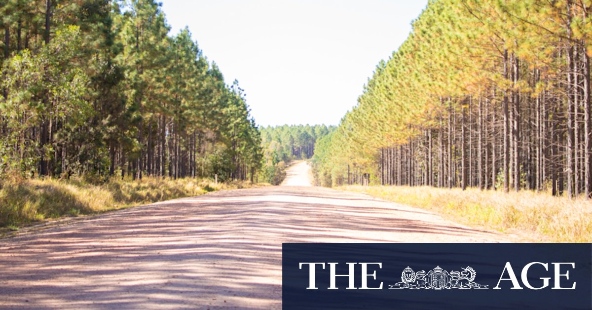 Woman's hands zip-tied, feet bound before being left in Queensland forest - Vimarsana News