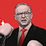 Anthony Albanese knocked out many contenders on Saturday, but his biggest bout is yet to come.