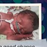 Jim’s baby was born by surrogate in Georgia using Global Surrogacy run by Australian former lawyer Paul Norris-Ongso.