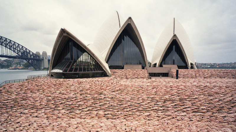 Spencer Tunick Sydney: Volunteers wanted for nude photo shoot organised by  Skin Check Champions