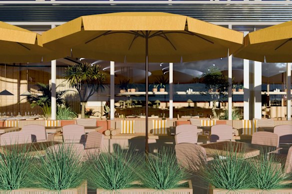 Representação de Hamsi.