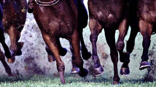 Bookmakers are chasing down funds they allege have gone missing.