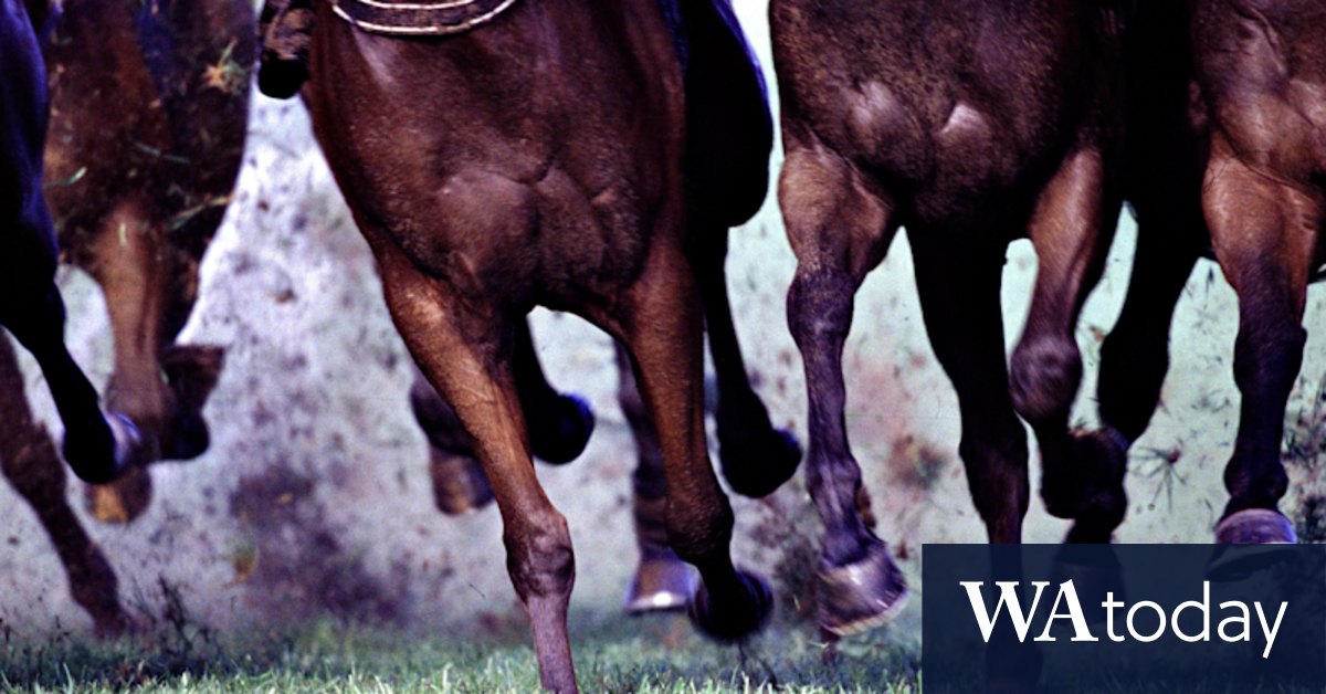 Racing NSW investigates breach of Victoria border ban on ...