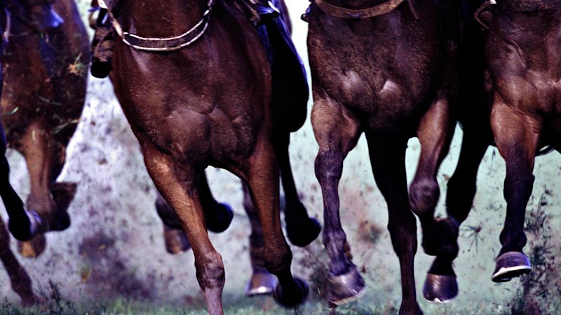 Race-by-race Preview and Tips for Moruya on Friday