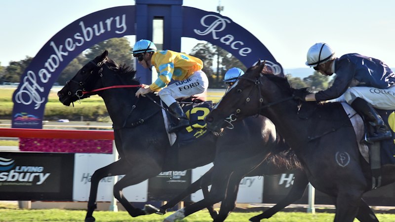Race-by-race preview and tips for Hawkesbury on Thursday