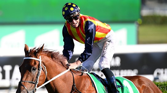James McDonald after passing the finish post riding Nature Strip in the TJ Smith Stakes.